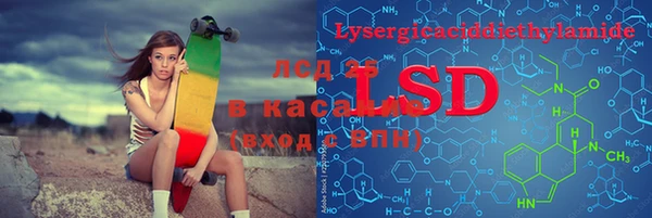 винт Алзамай