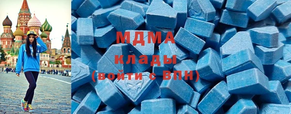 сатива Каменка