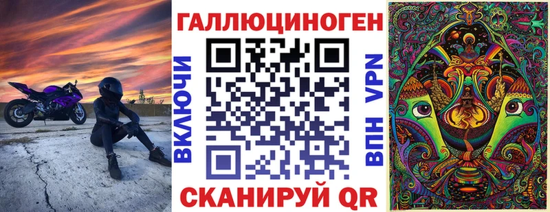 Галлюциногенные грибы Psilocybe  где купить наркоту  Тайшет 